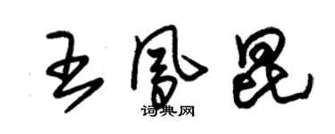 朱錫榮王鳳昆草書個性簽名怎么寫