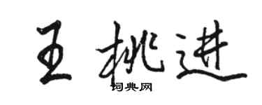 駱恆光王桃進行書個性簽名怎么寫