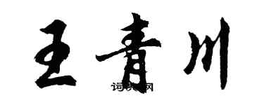 胡問遂王青川行書個性簽名怎么寫