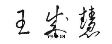 駱恆光王成慧草書個性簽名怎么寫