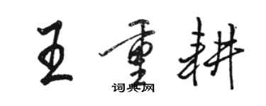 駱恆光王重耕行書個性簽名怎么寫