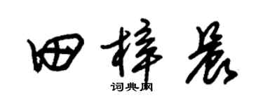 朱錫榮田梓晨草書個性簽名怎么寫