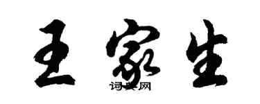 胡問遂王家生行書個性簽名怎么寫