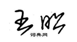 朱錫榮王昭草書個性簽名怎么寫