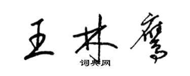 梁錦英王林鷹草書個性簽名怎么寫