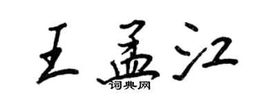 王正良王孟江行書個性簽名怎么寫