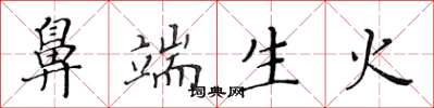 黃華生鼻端生火楷書怎么寫