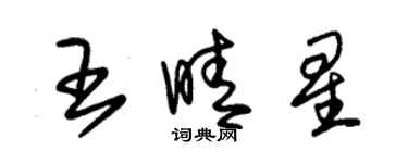 朱錫榮王晴星草書個性簽名怎么寫