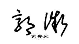 朱錫榮郭微草書個性簽名怎么寫