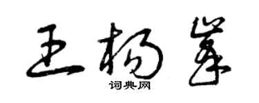 曾慶福王楊峰草書個性簽名怎么寫