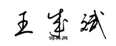 梁錦英王成斌草書個性簽名怎么寫