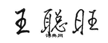 駱恆光王聰旺行書個性簽名怎么寫