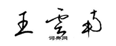 梁錦英王雲南草書個性簽名怎么寫