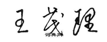 駱恆光王茂理草書個性簽名怎么寫