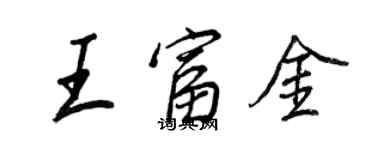 王正良王富金行書個性簽名怎么寫