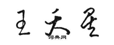 駱恆光王夭星草書個性簽名怎么寫