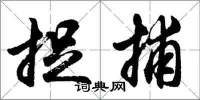 胡問遂捉捕行書怎么寫