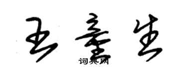 朱錫榮王童生草書個性簽名怎么寫