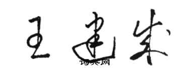 駱恆光王建成草書個性簽名怎么寫