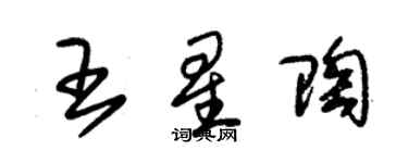 朱錫榮王星陶草書個性簽名怎么寫