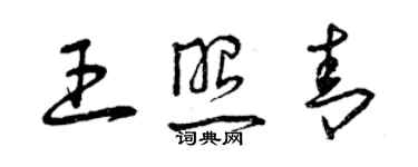 曾慶福王照青草書個性簽名怎么寫