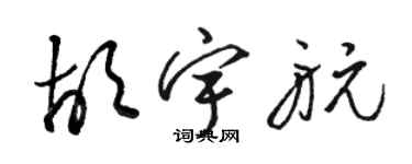 駱恆光胡宇航草書個性簽名怎么寫