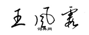 梁錦英王風霞草書個性簽名怎么寫