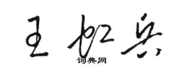 駱恆光王虹兵草書個性簽名怎么寫