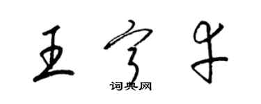 梁錦英王寧幸草書個性簽名怎么寫
