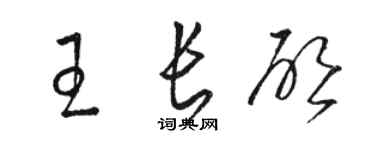 駱恆光王長啟草書個性簽名怎么寫