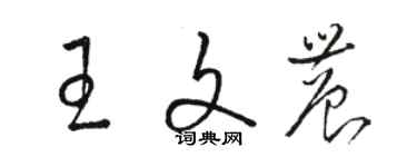 駱恆光王文農草書個性簽名怎么寫