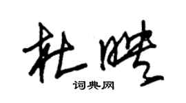 朱錫榮杜映草書個性簽名怎么寫