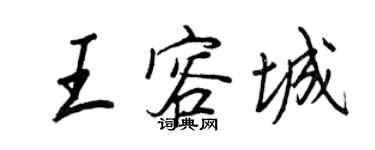 王正良王容城行書個性簽名怎么寫