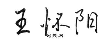 駱恆光王懷陽行書個性簽名怎么寫