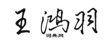 駱恆光王鴻羽行書個性簽名怎么寫