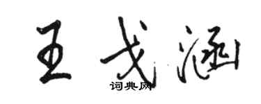 駱恆光王戈涵行書個性簽名怎么寫