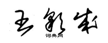 朱錫榮王彩成草書個性簽名怎么寫