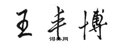 駱恆光王豐博行書個性簽名怎么寫