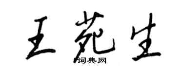 王正良王苑生行書個性簽名怎么寫