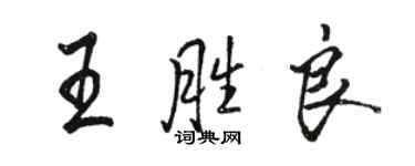 駱恆光王勝良行書個性簽名怎么寫