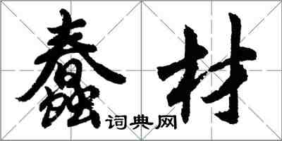 胡問遂蠢材行書怎么寫