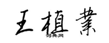 王正良王植業行書個性簽名怎么寫