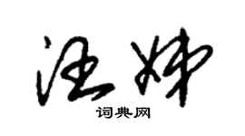 朱錫榮汪娣草書個性簽名怎么寫