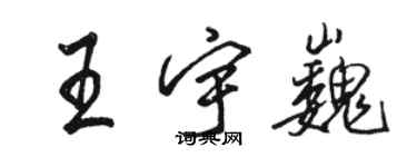 駱恆光王宇巍行書個性簽名怎么寫