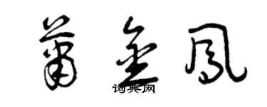 曾慶福蕭金鳳草書個性簽名怎么寫