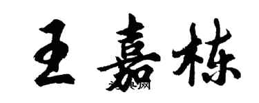 胡問遂王嘉棟行書個性簽名怎么寫