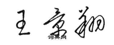 駱恆光王景翔草書個性簽名怎么寫