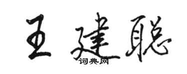 駱恆光王建聰行書個性簽名怎么寫