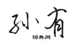 駱恆光孫有行書個性簽名怎么寫