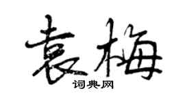 曾慶福袁梅行書個性簽名怎么寫